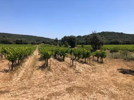 terrain rochefort du gard 43000 m2 182 320