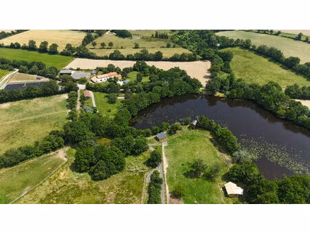 vendee 85 - saint florent des bois - propriété equestre / loisirs - maison en pierres 200m