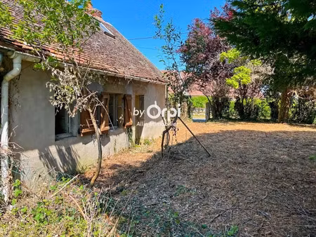 vente maison 1 pièce 40 m² à chappes (03390)  17 000 €