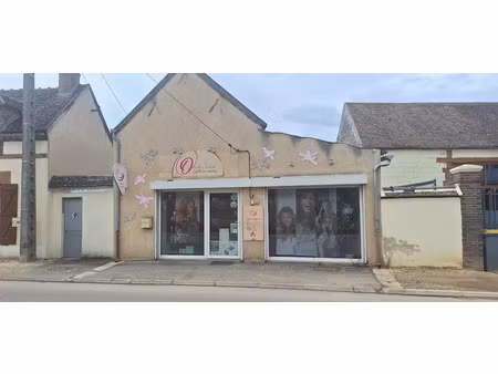 vente locaux professionnels 2 pièces 84 m² à thorigny-sur-oreuse (89260)  107 000 €