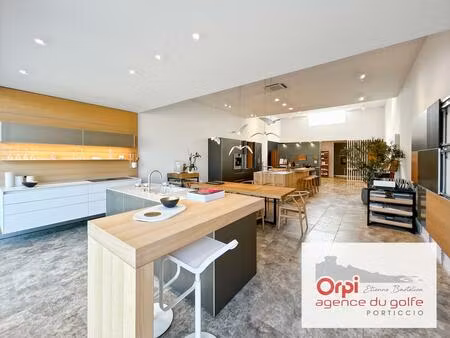 vente commerce 93 m² albitreccia (20166)