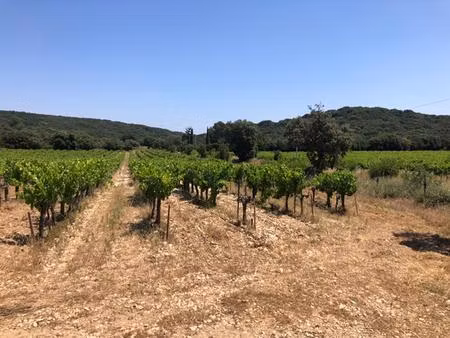 terrain rochefort du gard 43000 m2 134140