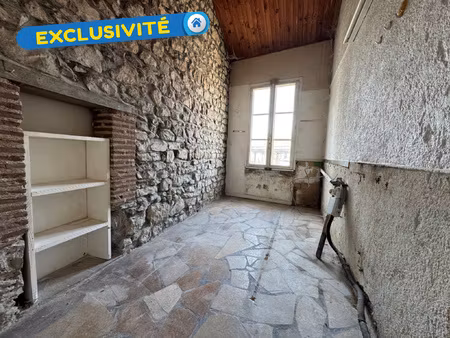 achat local professionnel 47m² chateauneuf sur loire 45110