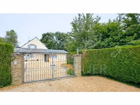 prestigieuse maison en vente brissac-quincé  pays de la loire