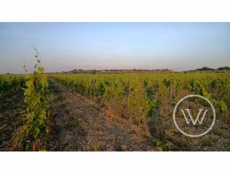 vente terrain 91585 m² tourbes (34120)