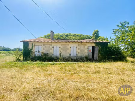 ruine avec 1ha de terrain au milieu des vignes !