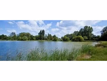 vente terrain 276 m² monnaie (37380)