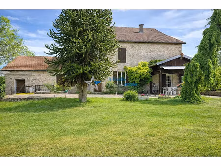 vente maison 7 pièces 252 m² à châteauvillain (52120)  495 000 €