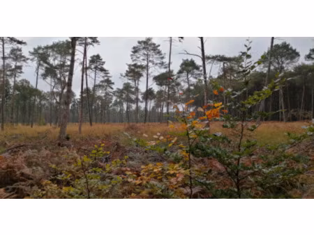 vente terrain au gâvre (44130) : à vendre / le gâvre