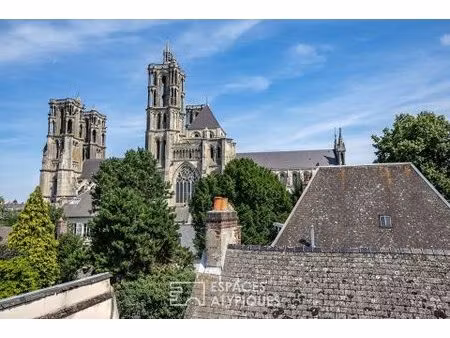 maison de ville emblématique avec vue et jardin en coeur historique de laon