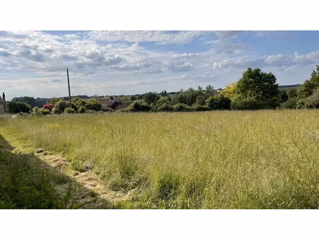 vente terrain 2590 m² à coussay-les-bois (86270)  33 500 €