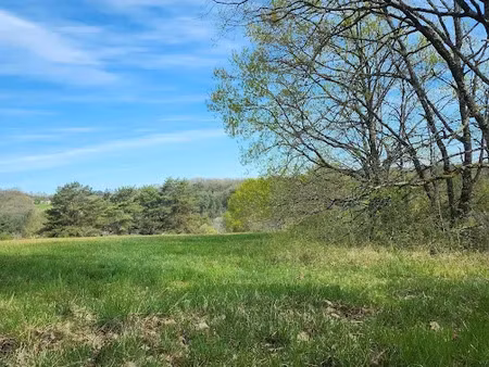 vente terrain 2215 m² à mensignac (24350)  35 000 €