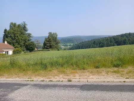 terrain à vendre de 950 00 m² dunieres (43)