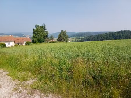 terrain à vendre de 950 00 m² dunieres (43)