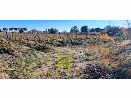 vente terrain 22800 m² à portiragnes (34420)  68 000 €