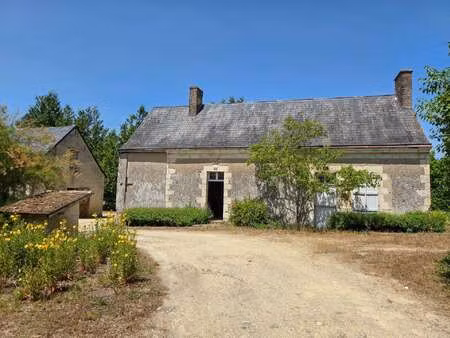 vente maison à dénezé-sous-le-lude (49490) : à vendre / 65m² dénezé-sous-le-lude