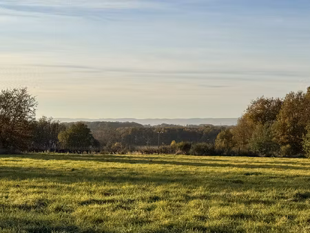 achat terrain 10 076m² cadalen 81600