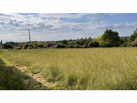 achat terrain 2 590m² coussay les bois 86270