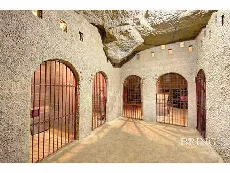 vente maison à saint-nicolas-de-bourgueil (37140) : à vendre / 110m² saint-nicolas-de-bour