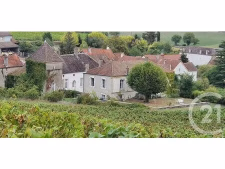 maison à vendre - 10 pièces - 428 m2 - chassey le camp - 71 - bourgogne