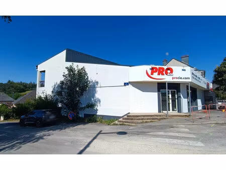 vente immeuble 220m2 baraqueville 12160 - 229000 € - surface privée