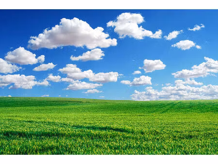 achat terrain 604m² bois guillaume 76230