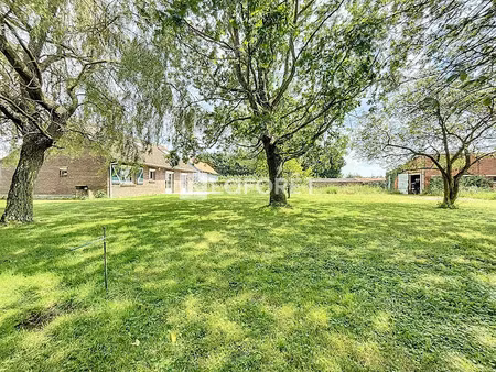 vente maison 4 pièces 101 m² à le doulieu (59940)  357 000 €