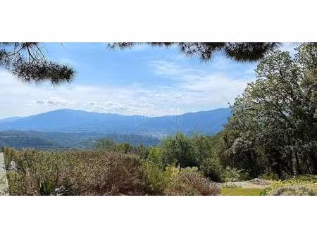 propriété avec jardin ceret (66)