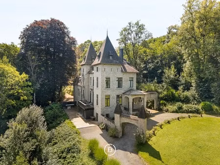 huis te koop in hastière-par-delà met 13 slaapkamers