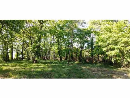 terrain constructible boise 2980m2