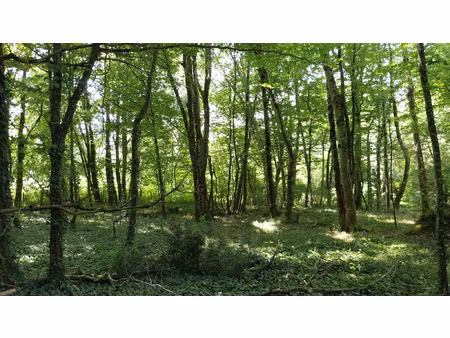 achat terrain 3 551m² douchapt 24350