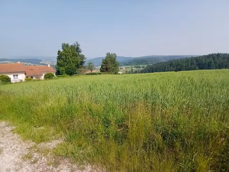 vente terrain 950 m² à dunières (43220)  67 800 €