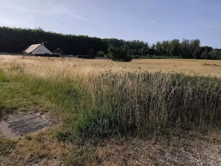 vente terrain 2179 m² à mareuil-sur-cher (41110)  52 000 €