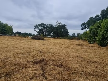 terrain à vendre de 2984 m² à saint medard de guizieres (33)