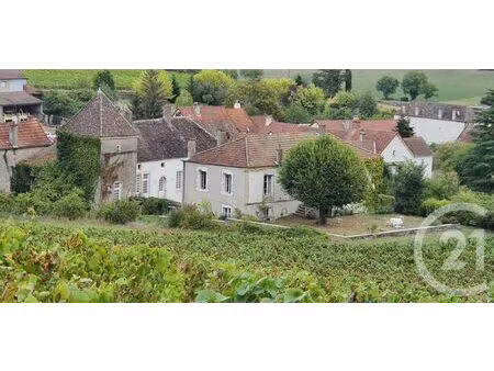 achat maison 10 pièces 428m² chassey le camp 71150