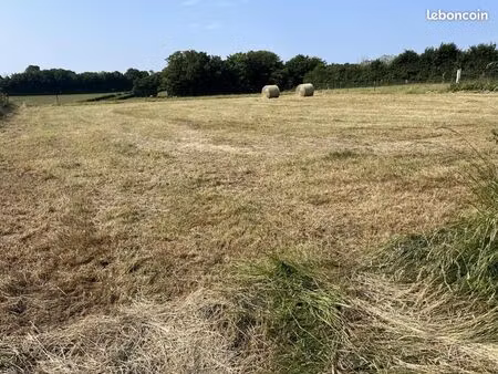 terrain 1 300 m² mondrepuis