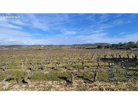 terrain 74600 m² congénies