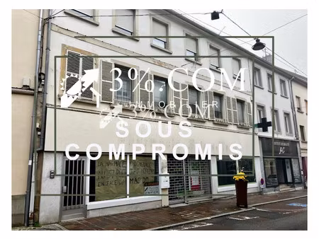 vente immeuble 10 pièces 320 m² à bitche (57230)  159 000 €