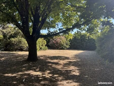 terrain 993 m² mas-saintes-puelles