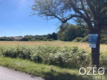 terrain 1 347 m² le blanc