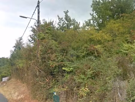 terrain à vendre  rue des reizes  le péchereau