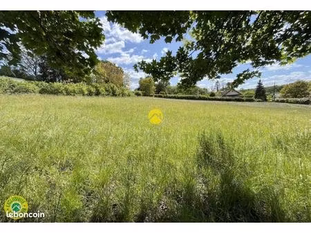 terrain 3 065 m² chateauneuf sur cher