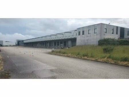 local logistique 2 600 m²
