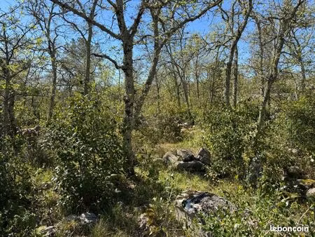 terrain 1 542 m² labeaume