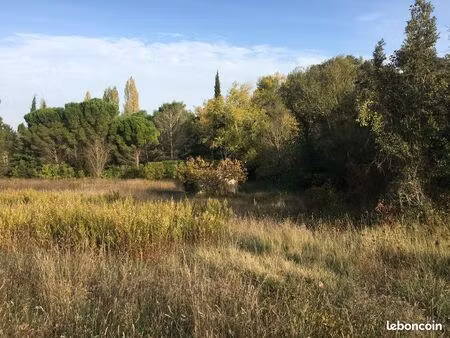vente terrain à magrie (11300) – zone à urbaniser  6200 m2  avec puit  arbres fruitiers et
