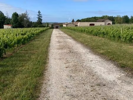 av propriété viticole