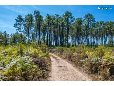 location terrain nature & forestier