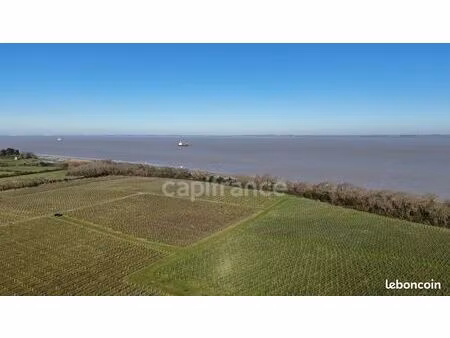 propriété viticole 1 143 m²