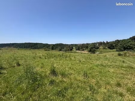 terrain 1120 m² saint-pal-de-mons