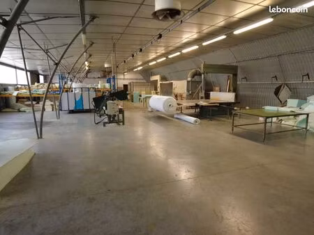 local d'activité 570 m²